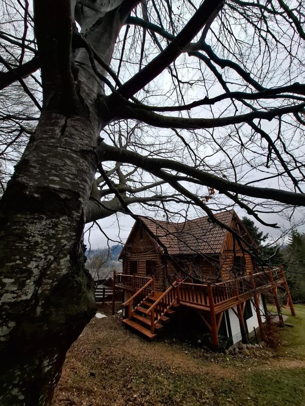 Veresko Villa Lacu Rosu Exteriör bild